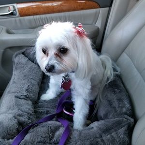 Meet your Posher, Verna